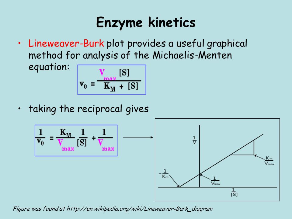 How to Perform Enzyme Kinetics Analysis